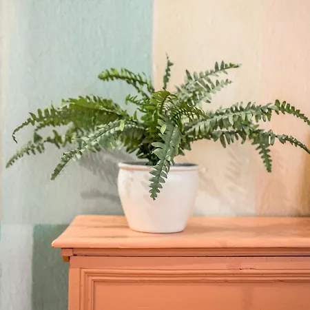 Casa Emilia - * In The Heart Of * Apartamento