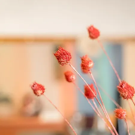 Apartmán Casa Emilia - * In The Heart Of *