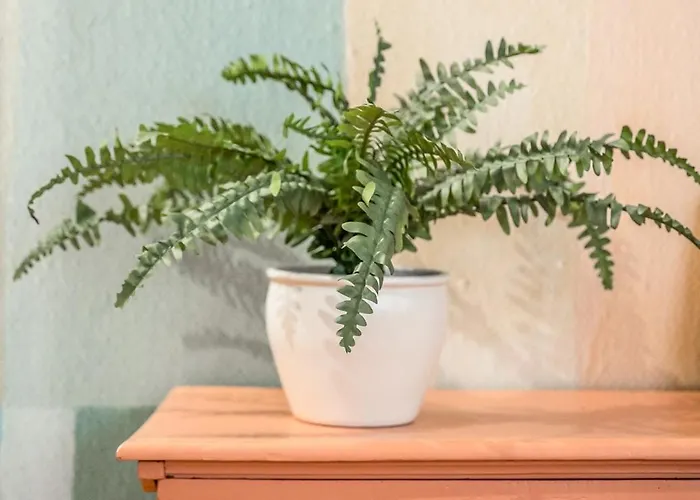 Casa Emilia - * In The Heart Of * Apartament